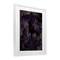 Stupell Industries Raven with Gothic Florals Framed Print Under Glass, design by Lori Mosley